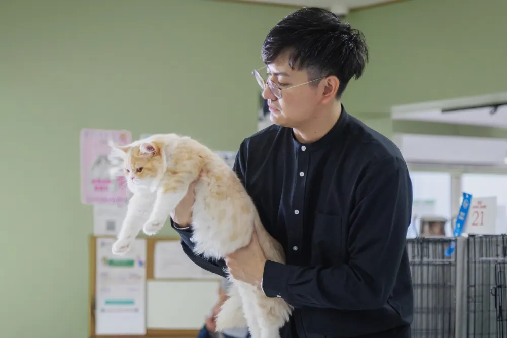 キャットショー